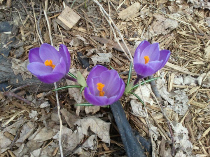 Happy May Day & Celebrating your Sexuality! 3