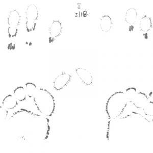 EEA-20100218-set_Page_1-small
