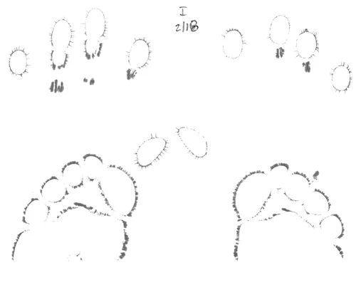 EEA-20100218-set_Page_1-small