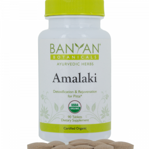 Amalaki, Organic - 90 tabs - Banyan Botanicals