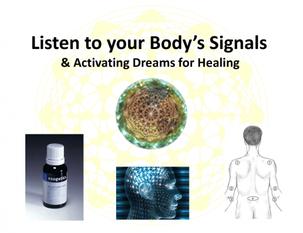 Signals of the Body & Activating Dreams for Healing