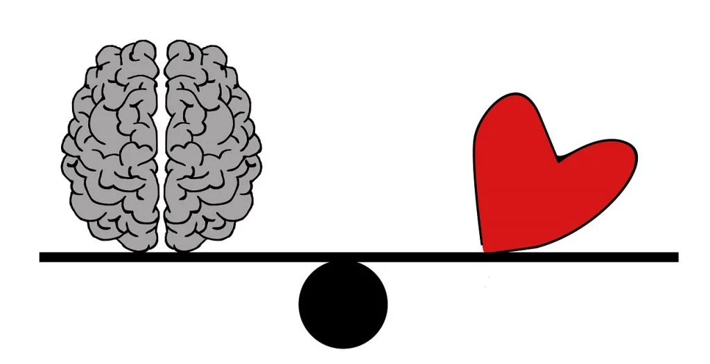 Balancing Heart Brain and Cranial Brain