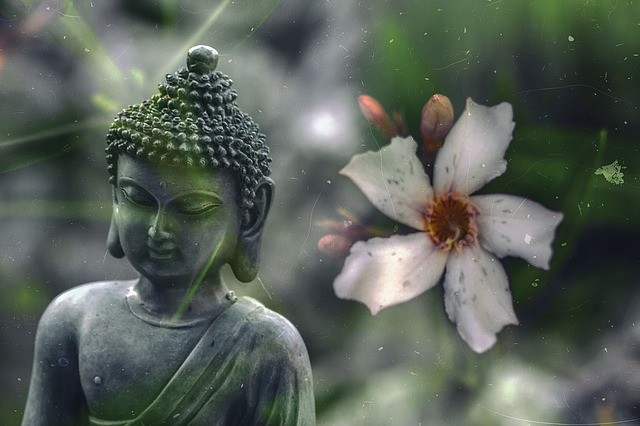 Be the Peace You Seek: Treasure Vase Qi Dharmas Meditation Class