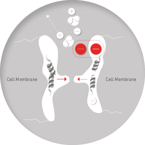 Cell with electromagnetic radiation