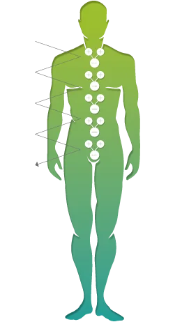 With Vivobase protection