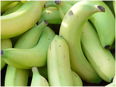 Healthy Fruits in Winter 7