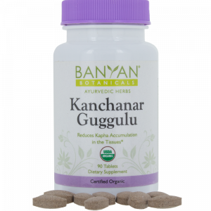 Kanchanar Guggulu 300 mg 90 tabs - Banyan Botanicals