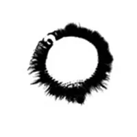 Kirlian Energy Emission Analysis
