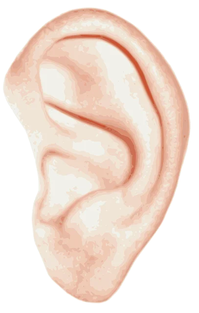 Insomnia Auriculotherapy Auriculotherapy
