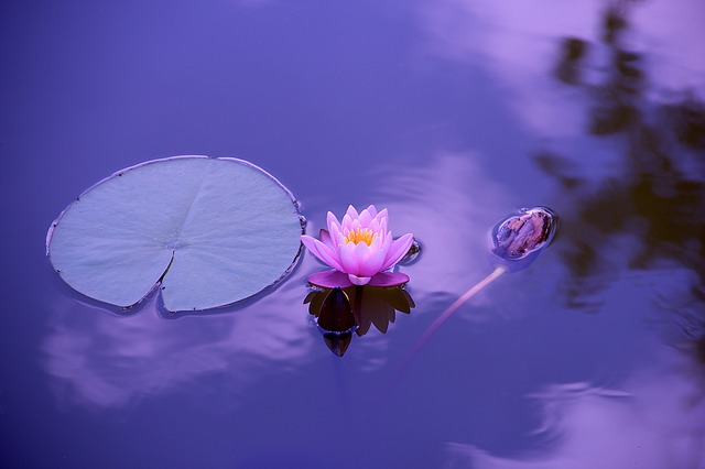 Hanmi Buddhist Esoteric Healing Service