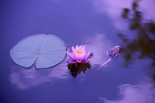 Hanmi Buddhist Esoteric Healing Service