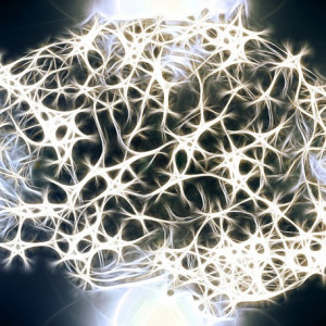 Nootropics