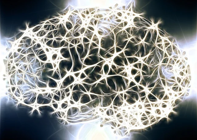 Neurons in the Brain