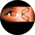 Ophthalmotropic Genetic Therapy connection with Iridology and DNA
