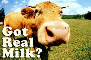 Skim vs Whole Milk... a dirty little truth 7