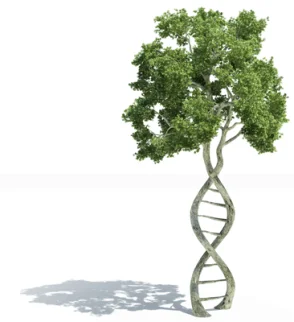 Combining Nature and Science