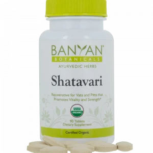 Shatavari 500 mg, 90 tabs by Banyan Botanicals