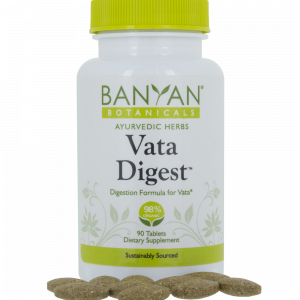 Vata Digest 500mg, 90 tabs by Banyan Botanicals
